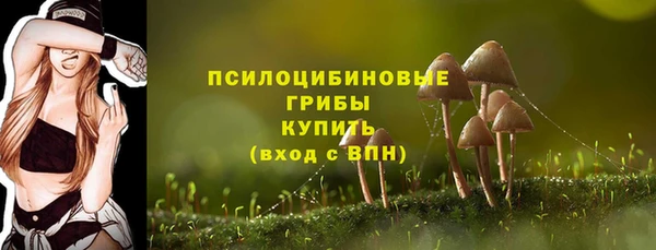 амф Пересвет