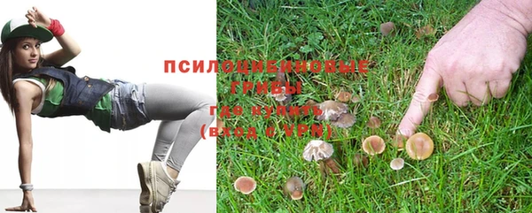 твердый Пестово