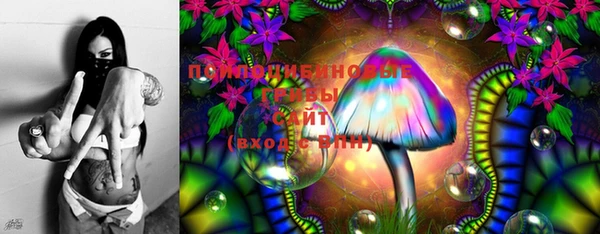амф Пересвет