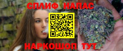 дживик Бийск
