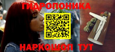 дживик Бийск