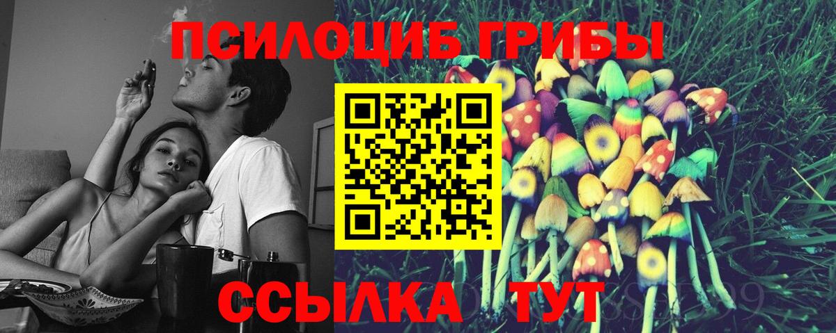 Псилоцибиновые грибы GOLDEN TEACHER Туймазы