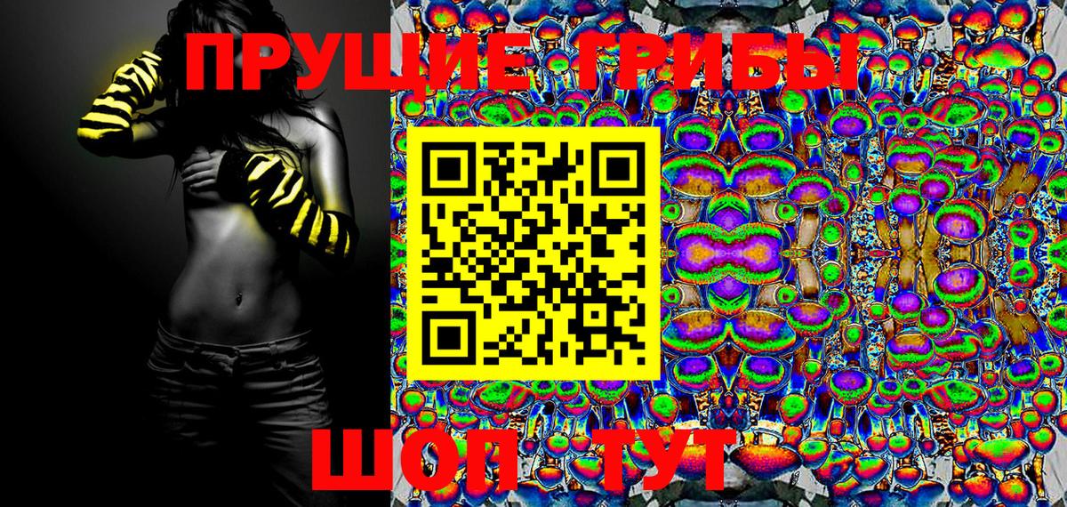 Псилоцибиновые грибы GOLDEN TEACHER  магазин продажи наркотиков  Туймазы  Псилоцибиновые грибы GOLDEN TEACHER 