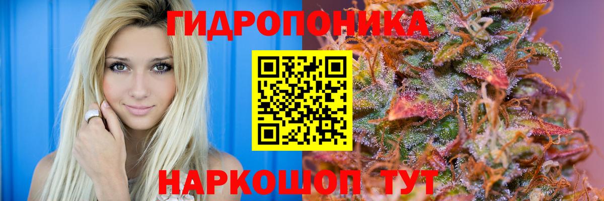 Каннабис гибрид  Туймазы  Каннабис MAZAR  Конопля SATIVA & INDICA 